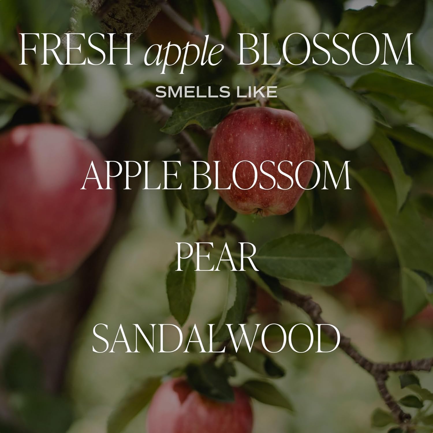 Sweet Water Decor Fresh Apple Blossom Reed Diffuser Set