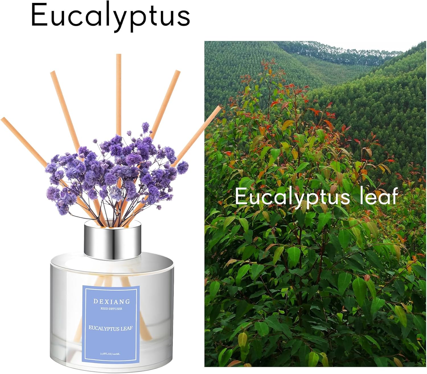 Dexiang 338 Oz Eucalyptus Lemon Verbena Reed Diffuser Set