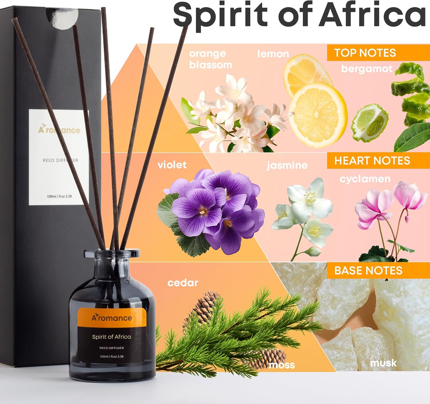 Spirit of Africa Reed Diffuser Set - Floral Woody Fragrance