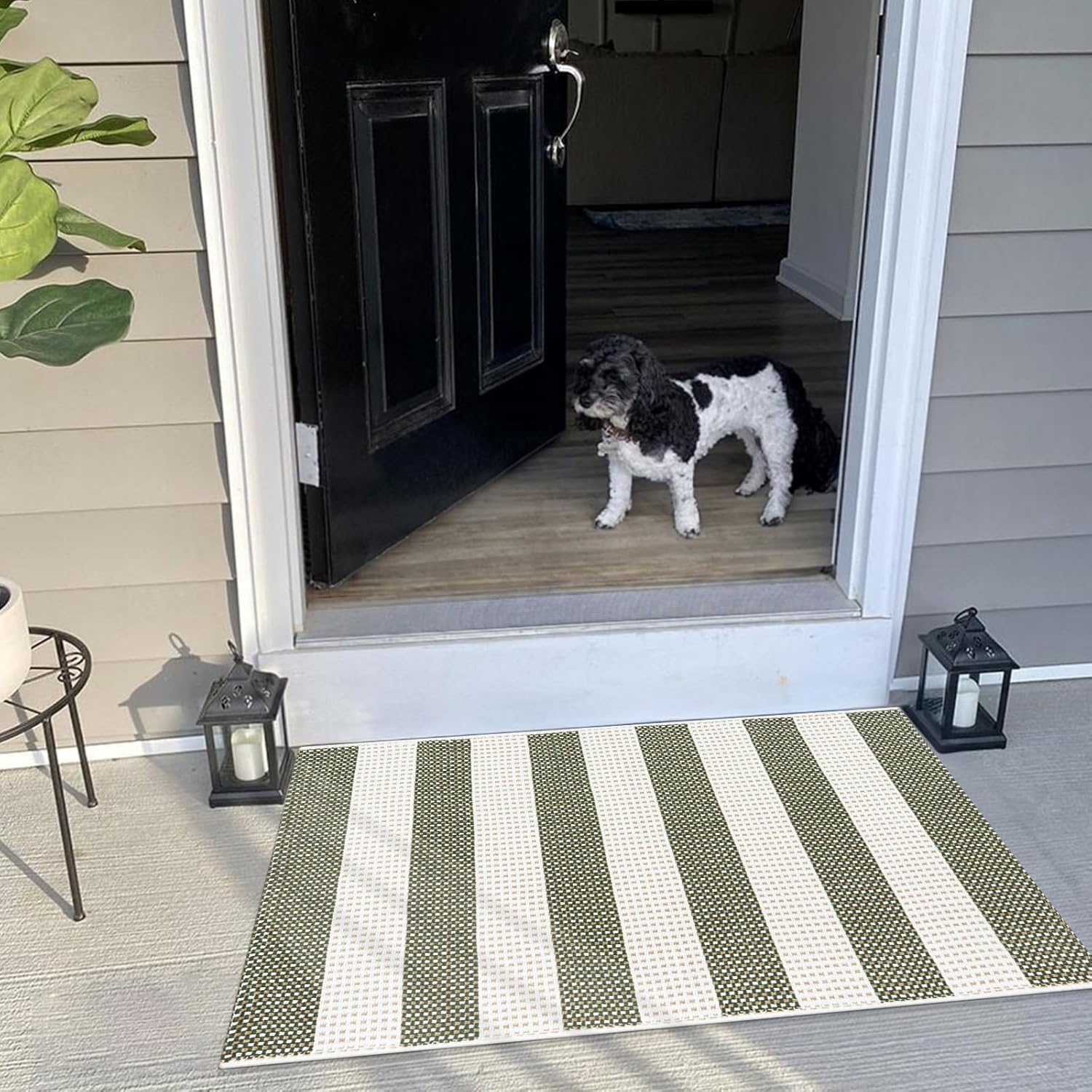 LEEVAN Door Mat Outdoor Front Porch Rug Green White