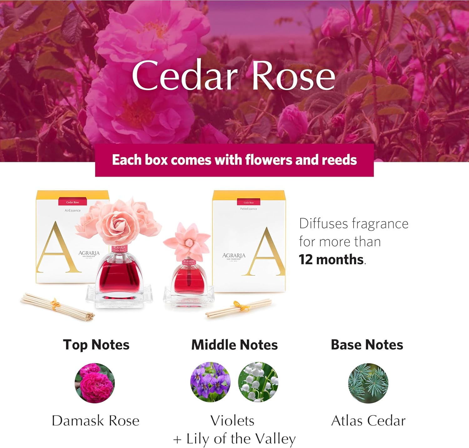 AGRARIA AirEssence PetiteEssence Reed Diffuser Set