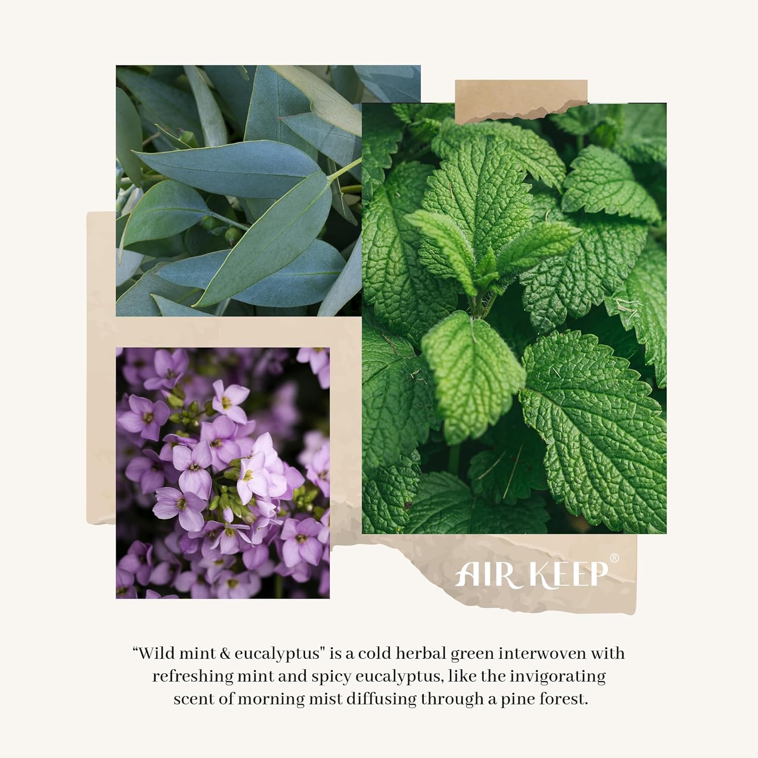 Airkeep Wild Mint Eucalyptus Reed Diffuser Set