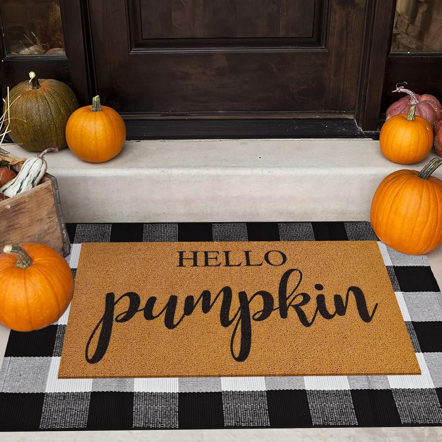 2 Pcs Fall Door Mat Combo Set Buffalo Plaid Outdoor Rug Welcome Mat