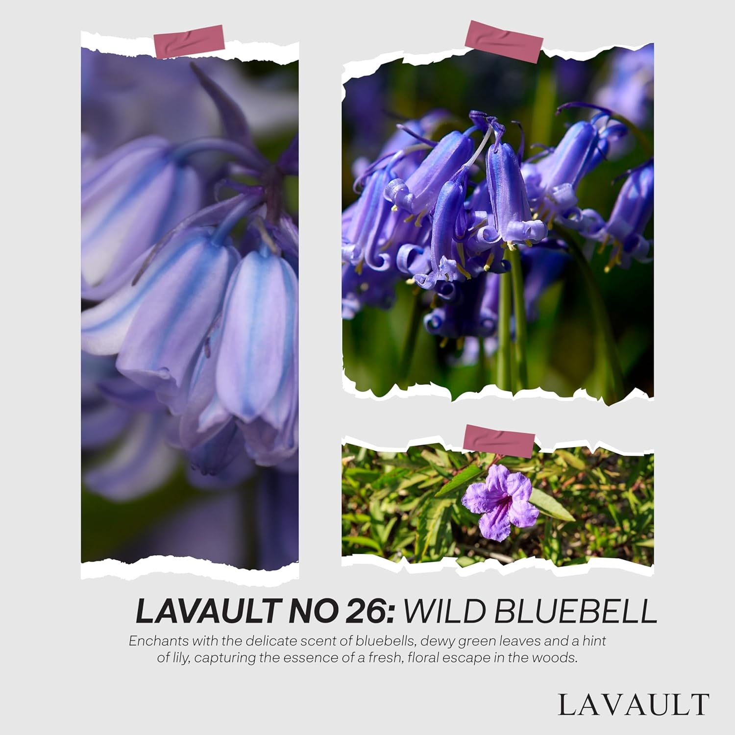 Lavault Wild Bluebell Reed Diffuser Set