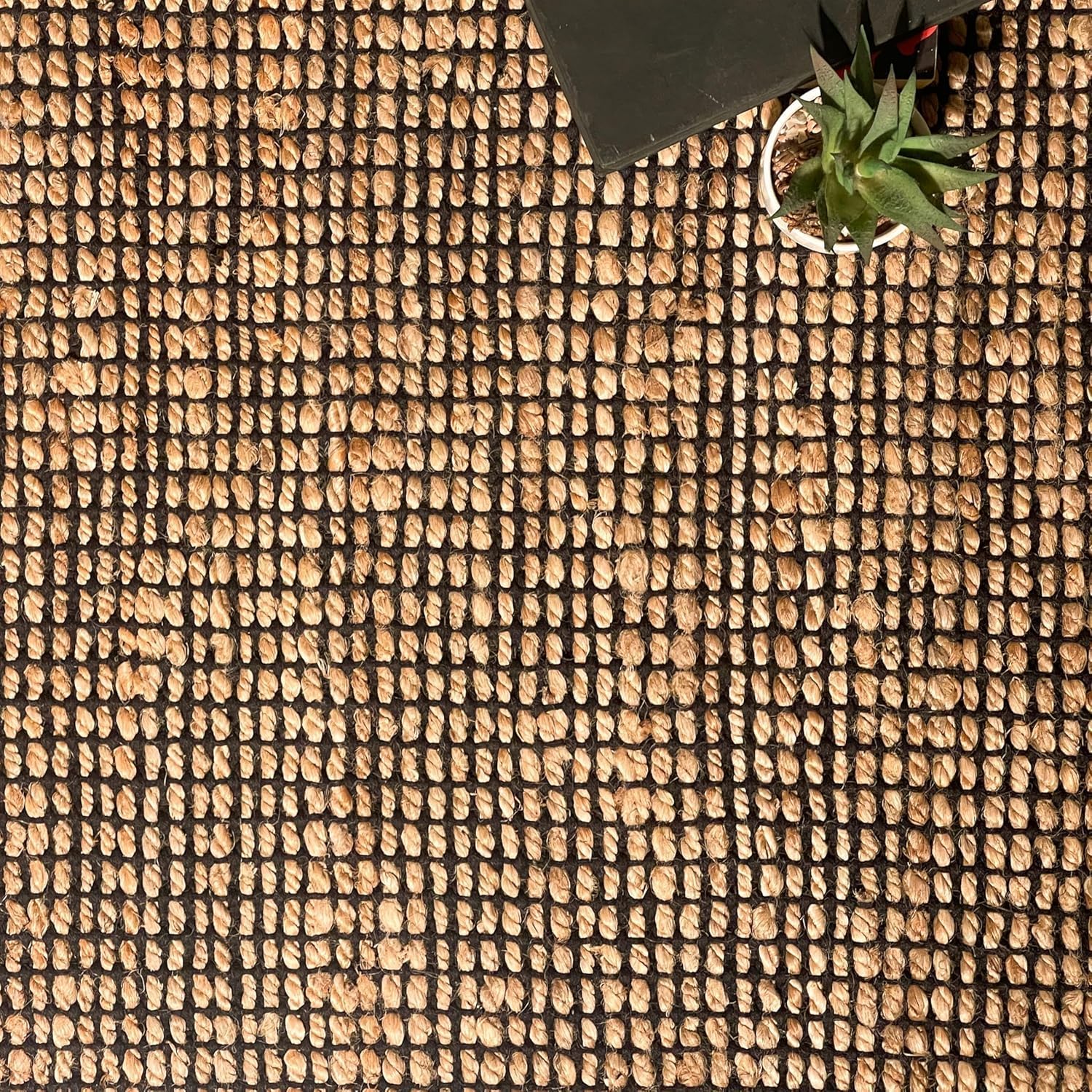 Chardin Home 2x3 Jute Cotton Woven Rug