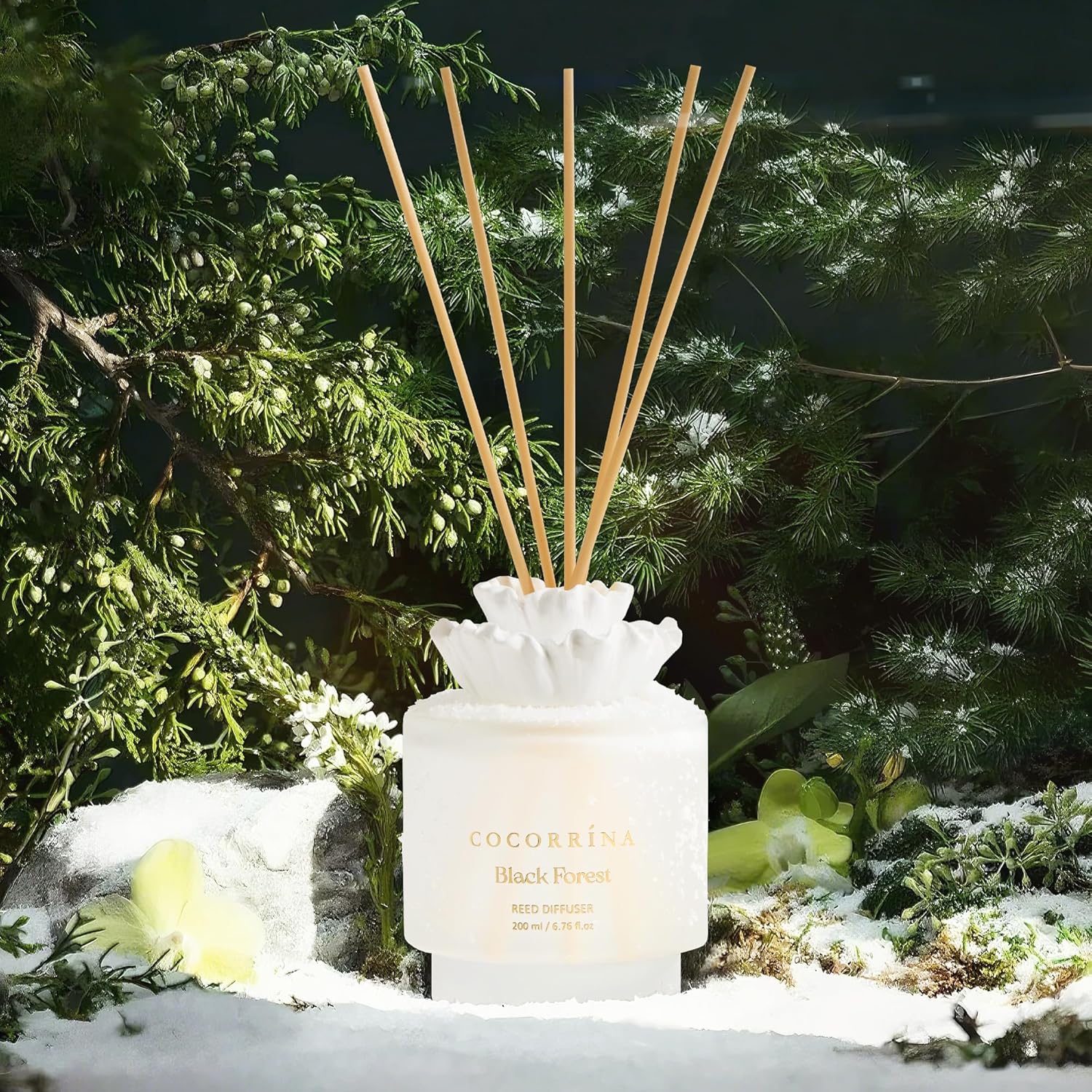 Cocorrina Gypsum Flower Diffuser Set - Black Forest Scent