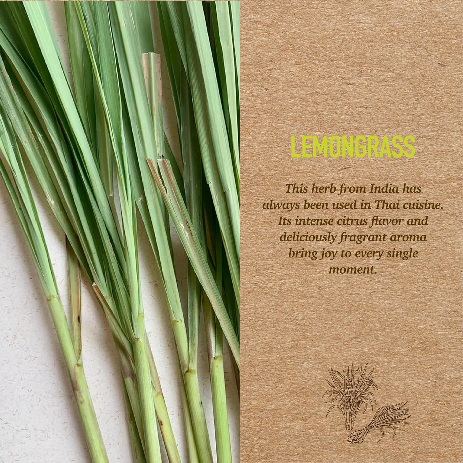 Biogreen Lemongrass Reed Diffuser 845 Ounce Set
